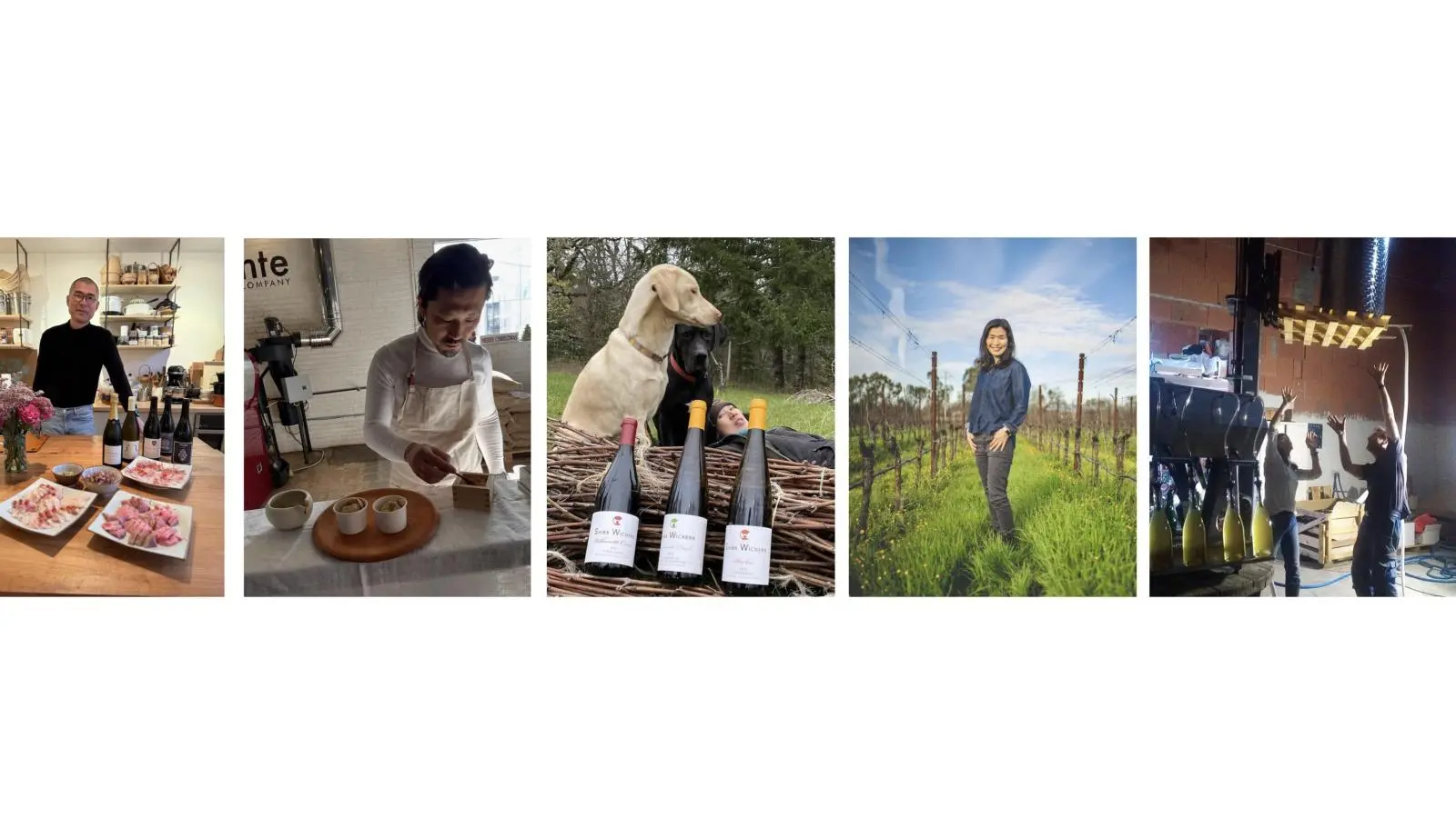 Fish & Wine Pairing + Diy Dinner Night