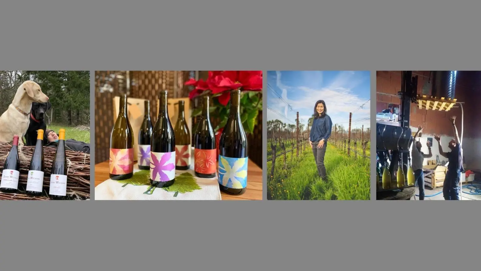 Meet the Winemaker tasting