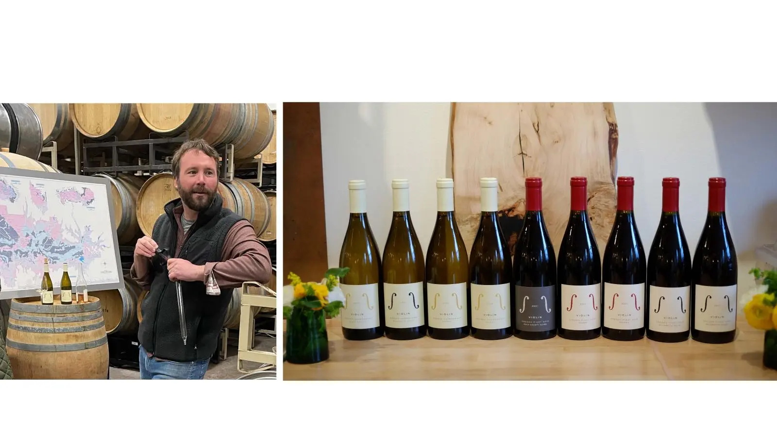 Violin Wine | Tasting with Wine Maker