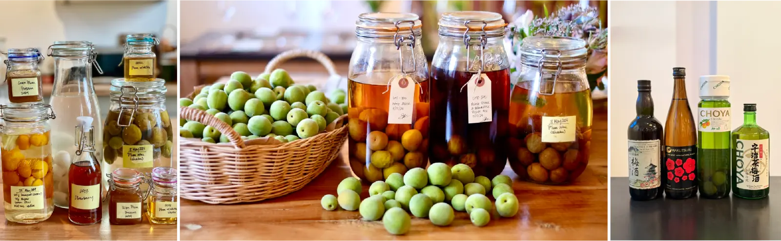 Umeshu — Japanese Plum Wine Workshop