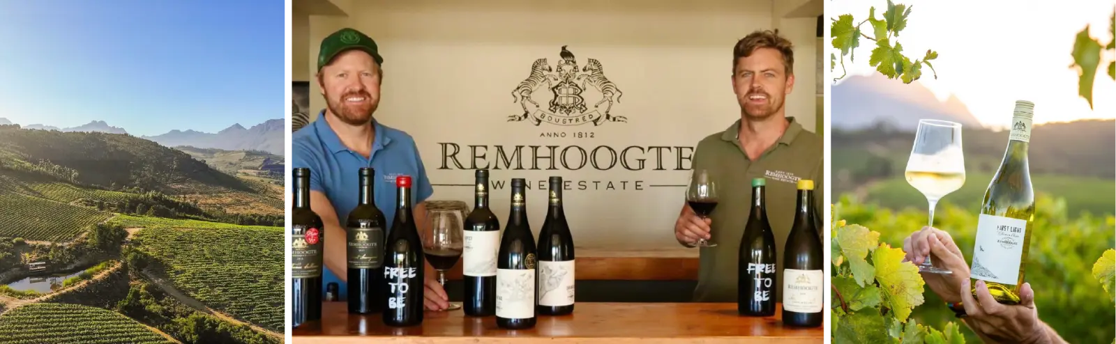 Remhoogte Wine Estate | South Africa | Class & Tasting