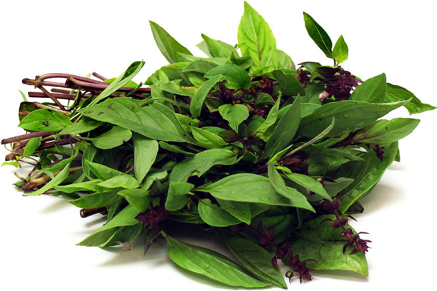 Thai Basil